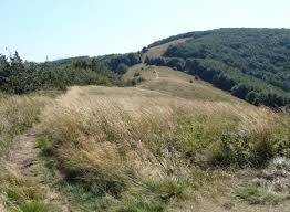 Fereczata
